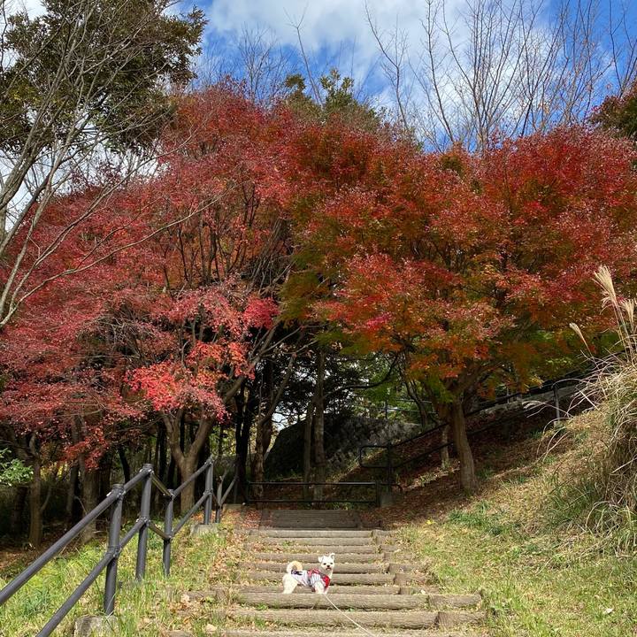 97745f55 a3f9 42be 8040 658def9391cf 1606033131100