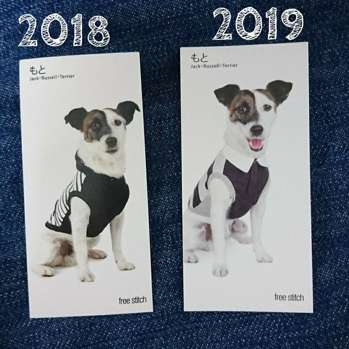 97747207 1b93 417a be5f 487f63c57c3e 1564630558729