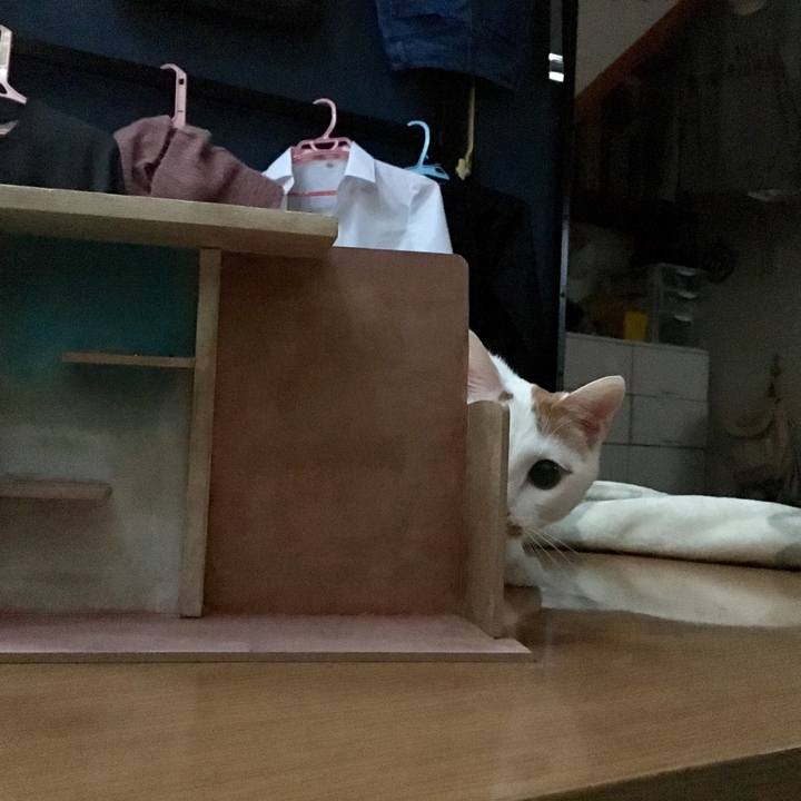 9774776f ab36 46f1 9737 8591e5a56a06 1552905432632