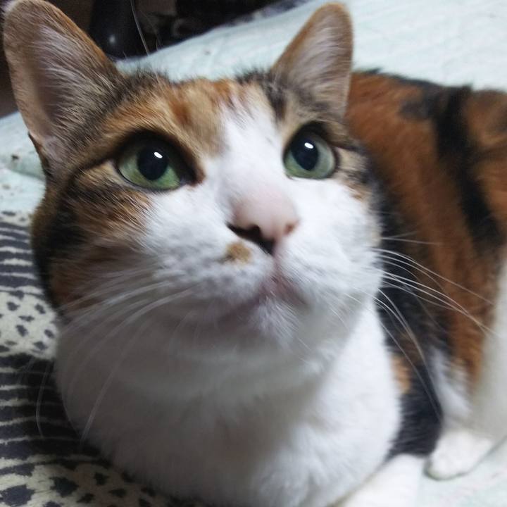 9774be81 57a8 40d2 aacf ba7ee8f6b741 1557784090269