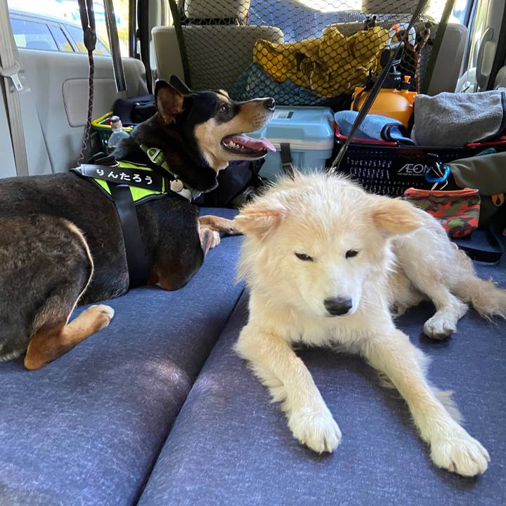 9774e74a 5da3 4de7 9561 c87190fc299e 1651668695980