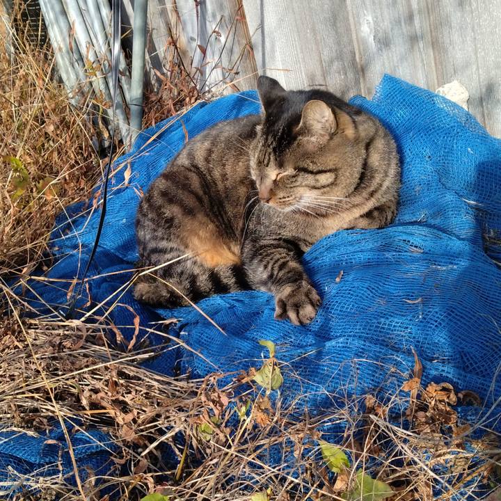 9774f451 42b5 4cad bfbf c9e4d7532e4a 1667712181752