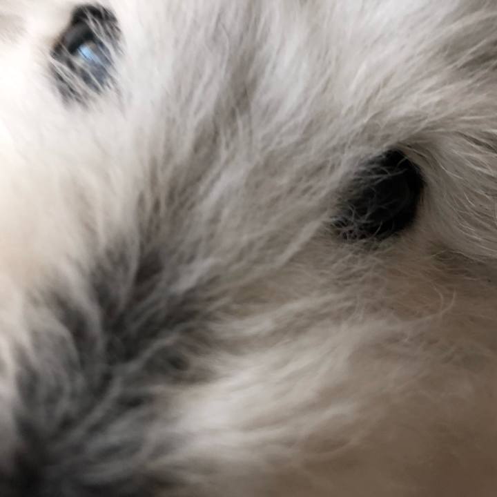 977503d8 bc60 46b4 8a7b a0811e821356 1644932041251