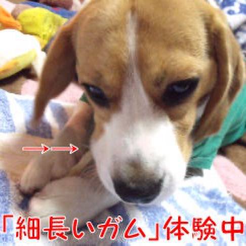 9775209a 095c 4720 8ded 906c9a5932ba 1712621269690