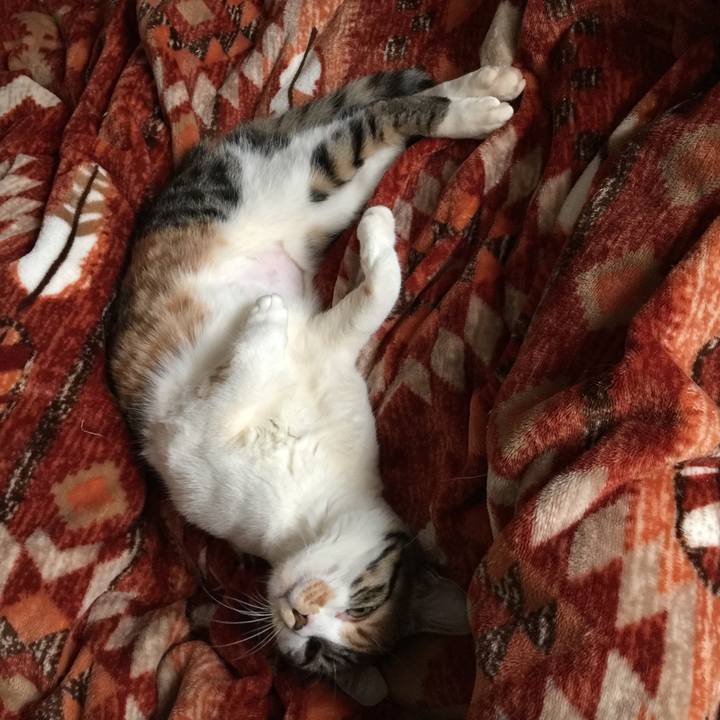 977532a0 ca91 408c 871a 79db1ea8d51b 1645614010815