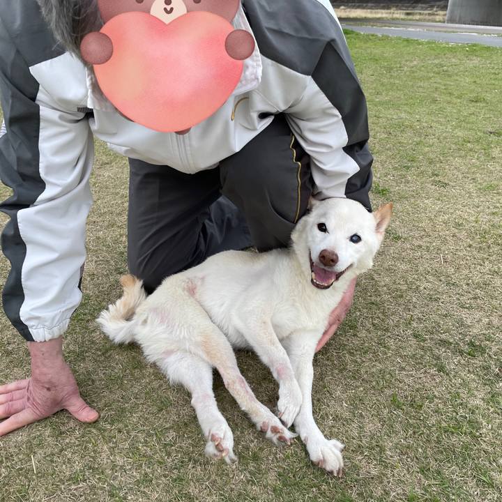 97755390 e60e 479c b201 45e1dfe68747 1680186319294