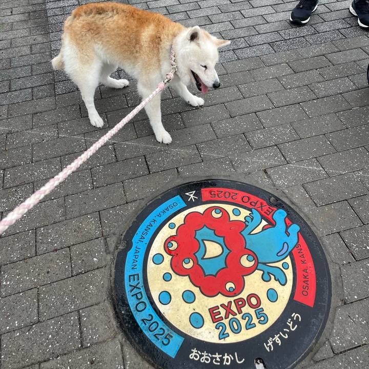 97755bbd 8782 4f80 bf81 7f5e3fb49bc1 1760314093768