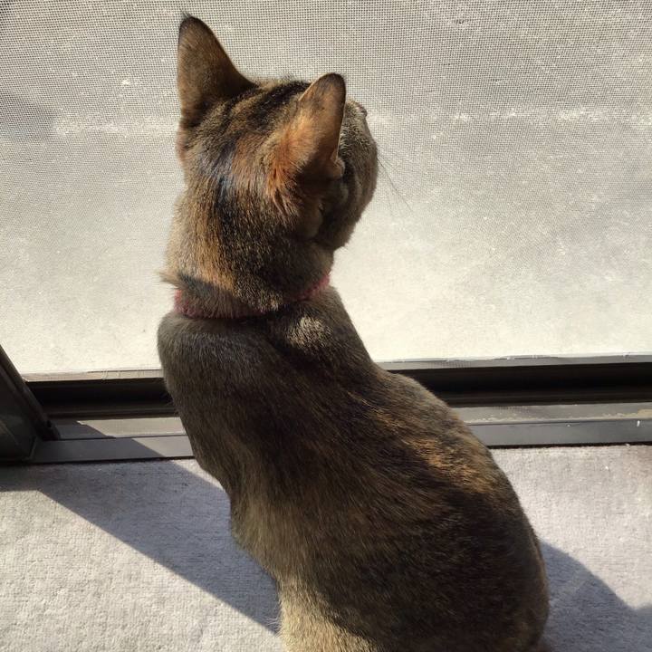 9775757c 4a84 488d 9ada fc7638d08abe 1585959558256