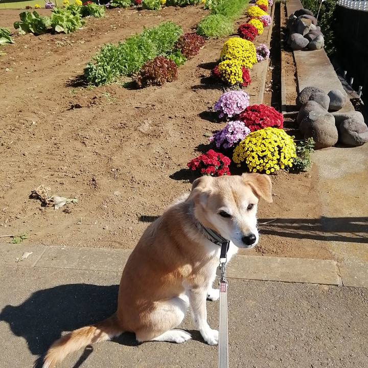 9775a6b0 c850 4003 b191 f0372e7da23e 1573122682801