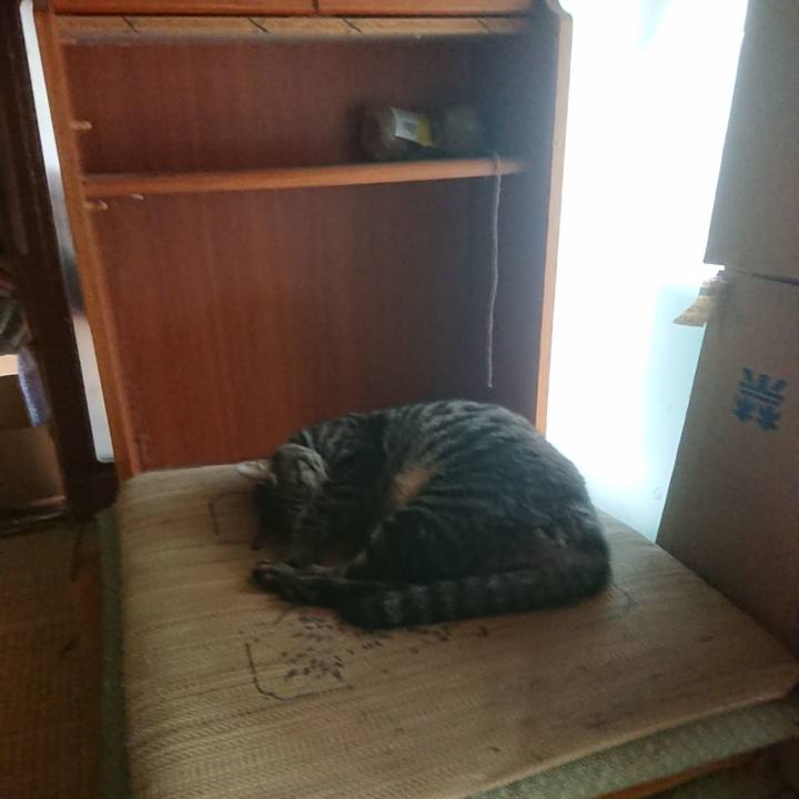 9775a775 0713 4ddb af7a a68b4e04ba43 1661472139776