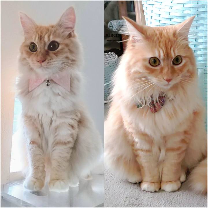 9775b875 d9a0 4c15 9f3a 5083fd7d218e 1658016887155