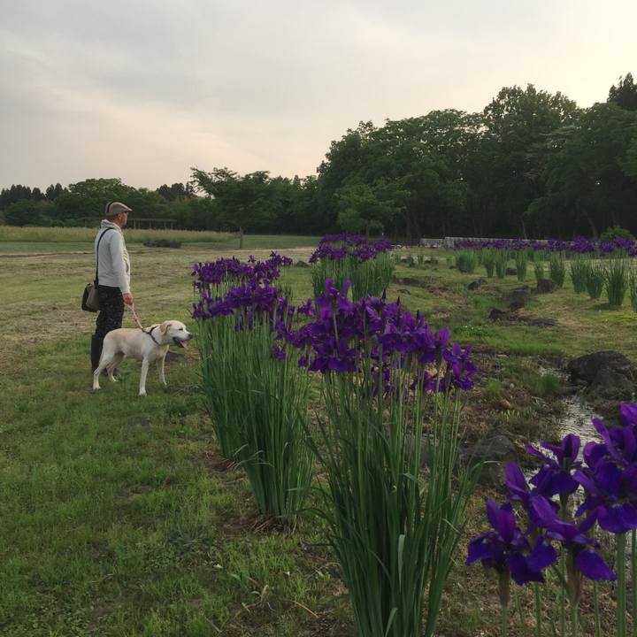 9775c472 9f97 4691 9cf2 32413cde129e 1589699824311