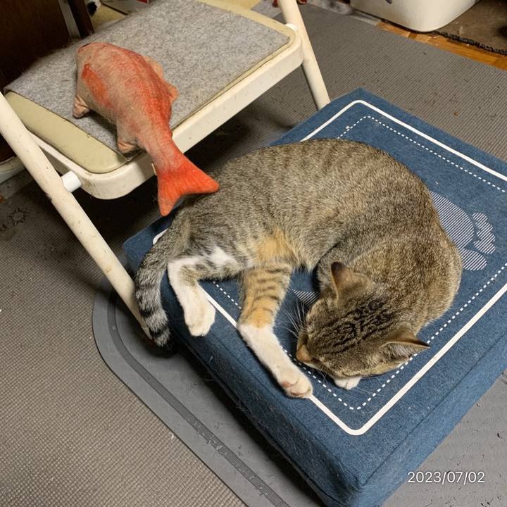 9775c49e 8b22 477b b13d 1281d49c132e 1688305303785