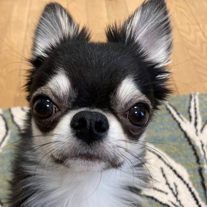 9775db7f 6ba4 4b79 a70d ad4363506451 1619909931119