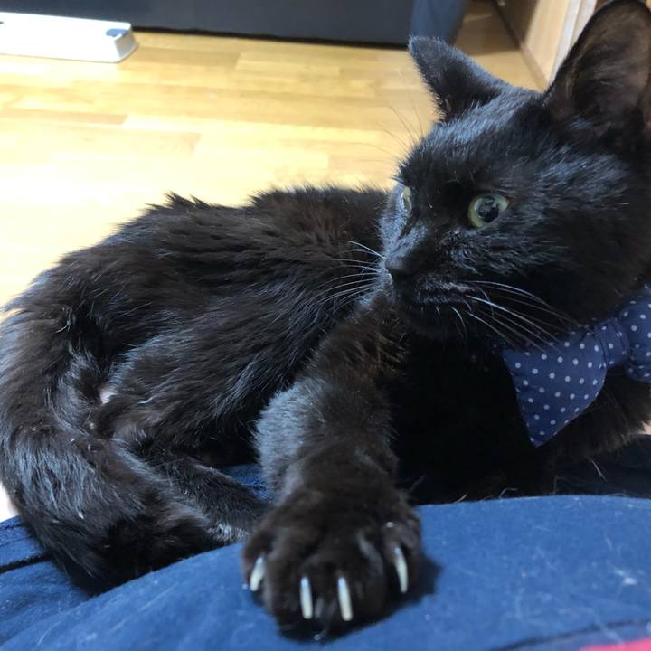 9775eb61 691b 46fe a1e1 b4c31e19a31f 1554895216799