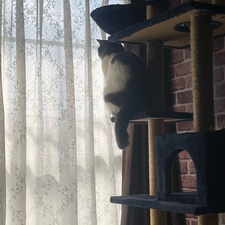 97760f5d 1d8a 4c7e 9aae b53547909d3e 1738301129439