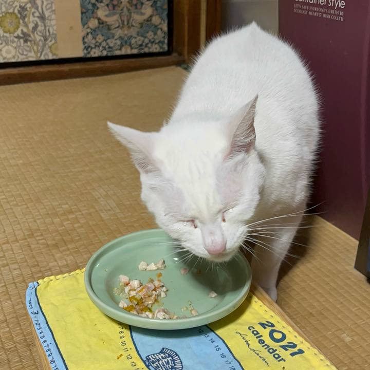 977645c1 7eda 4113 b23b 8a15a2c9f9eb 1767958317720