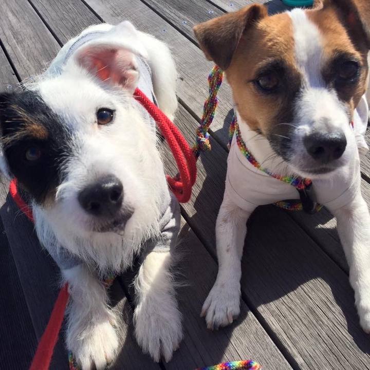 97769b2b 762d 4c86 8dd8 872609b4ffe9 1569796465347