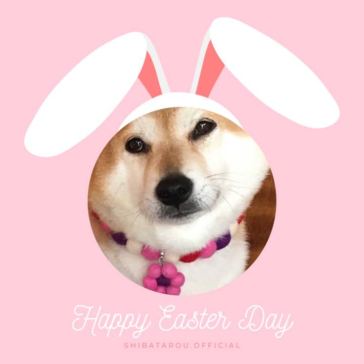 9776cc04 7304 45a0 816a 6856078526cb 1650155801246