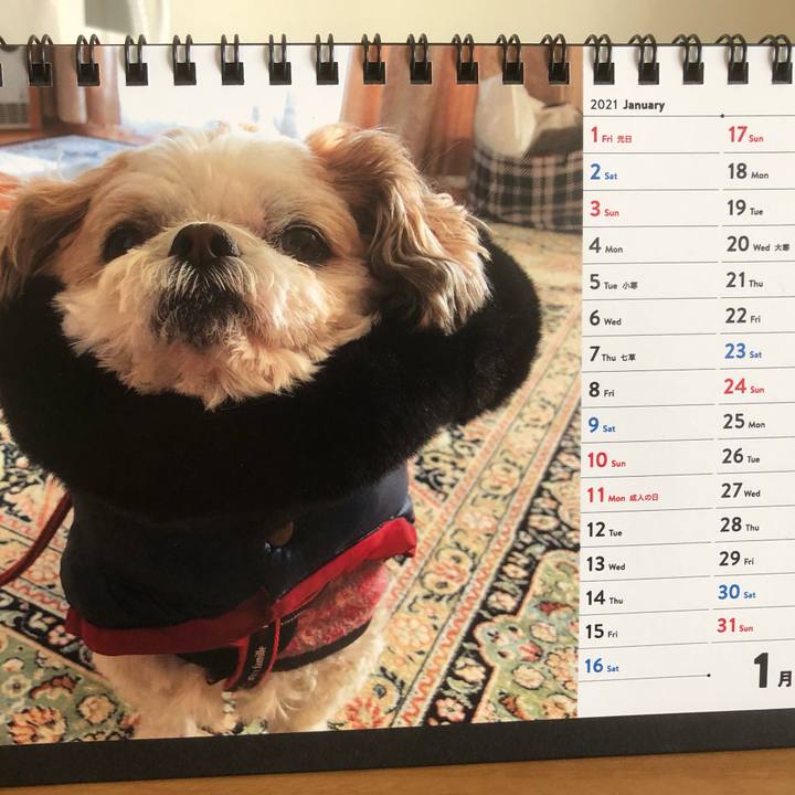 9776f1f6 ddaa 443a 941a 2c76b5b1af62 1609549538372