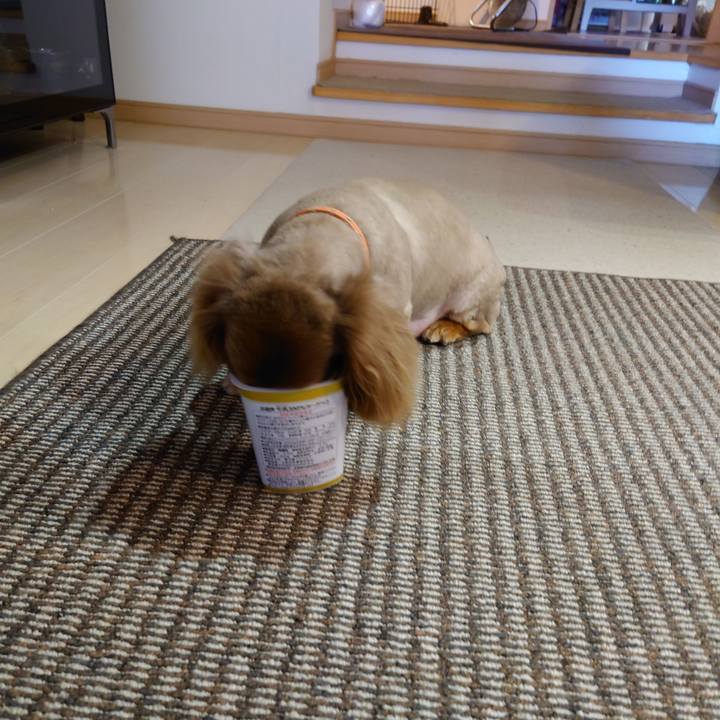 9777001e e73d 426e 989d 880cc4bcb890 1626069200818