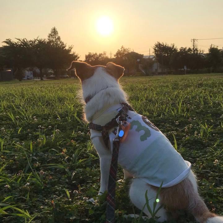 97772780 7c30 4090 b6d4 e13050cd2b4a 1564867814131