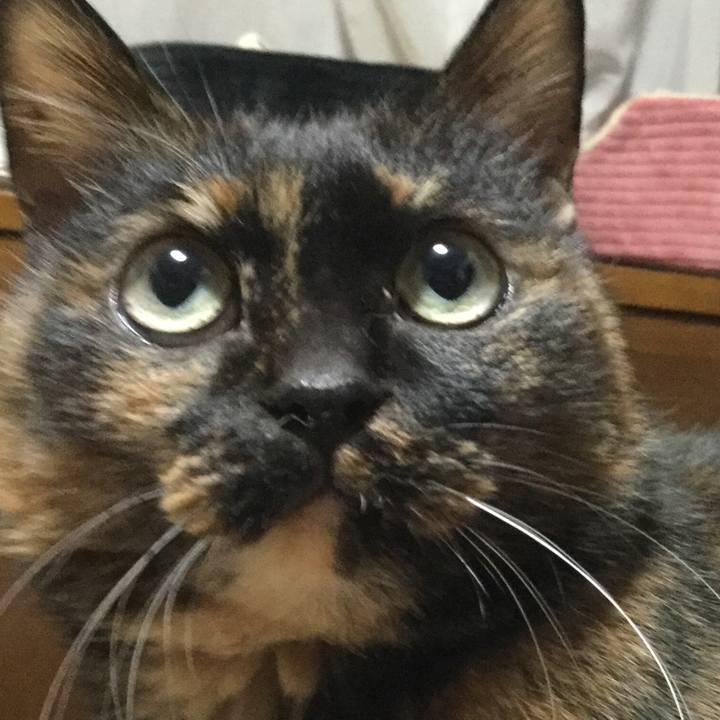 97776071 2712 4c80 8322 4318a04d4691 1548844708909