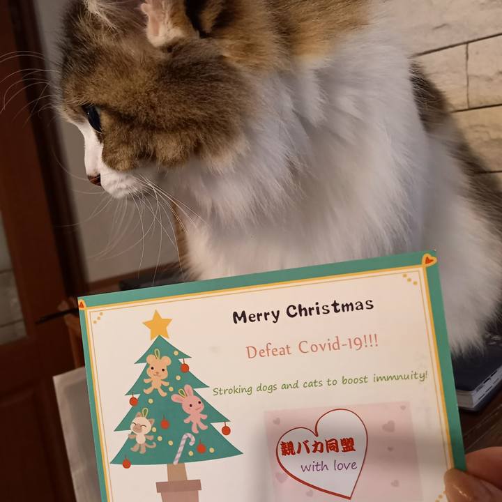 977778c9 e478 4b1c aa76 d36793d366f9 1606392105714