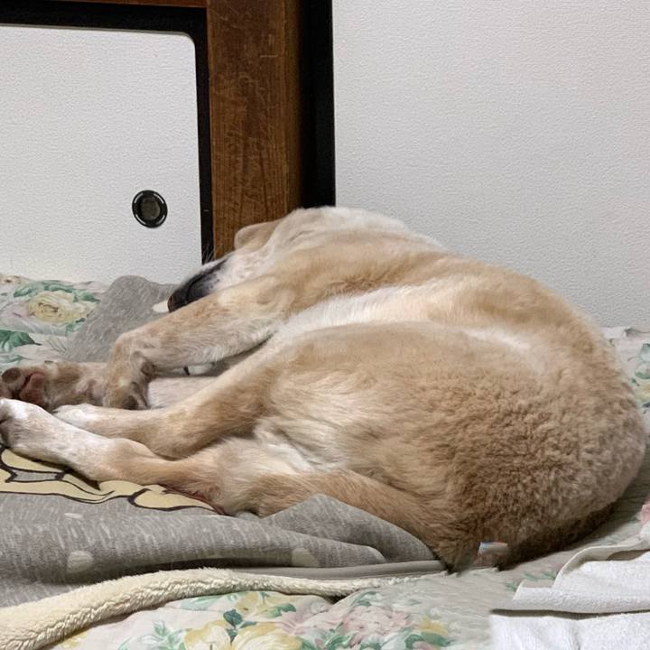 97777e21 62bc 47e1 8d71 4c9a530c1fc9 1587739407352