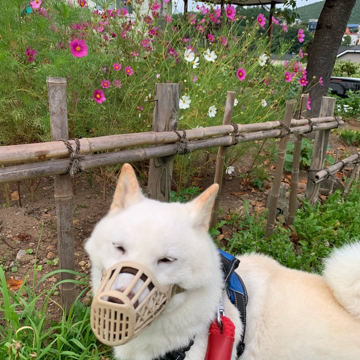 97778b52 57c5 4760 afa4 16a7eef1b522 1661636252137