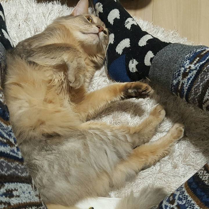 9777cbbb fb8a 479c 9d5a b859d19fc495 1544699469705