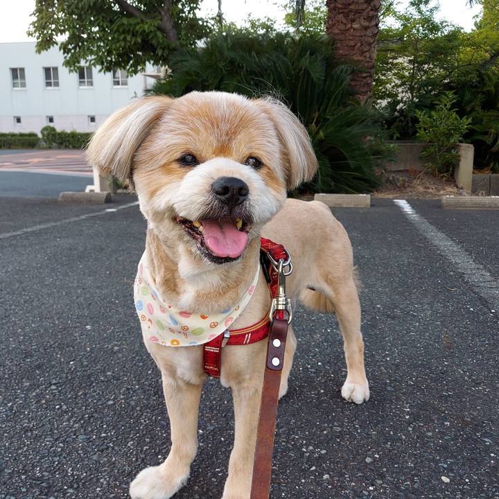 9777d1e0 8ee0 4e09 accb 10338db35dcc 1628075381570