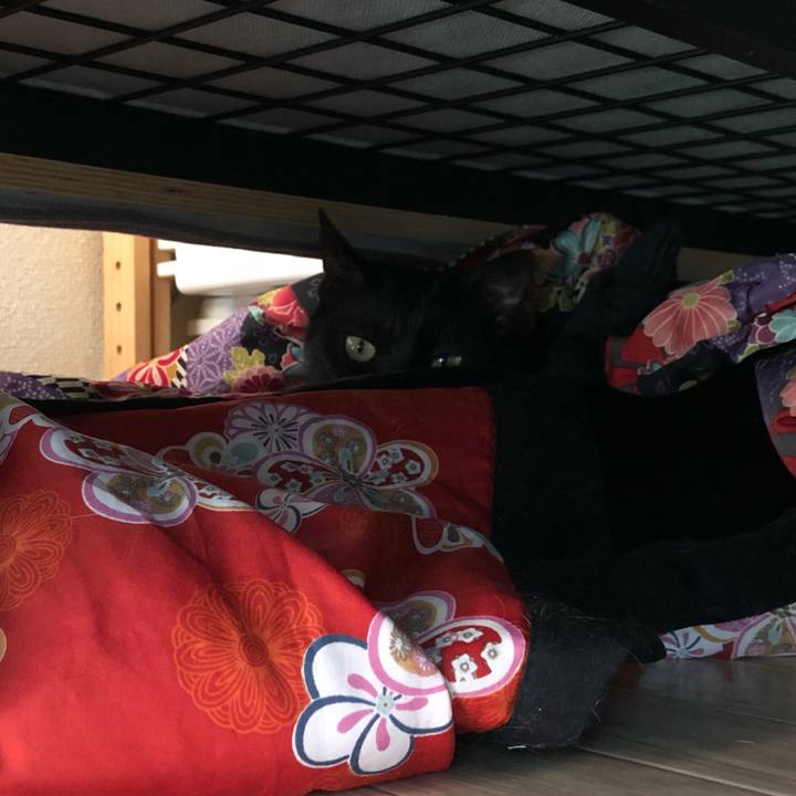 9777f2ff 59f6 4db7 90b2 b3dc000ce29f 1618962202923