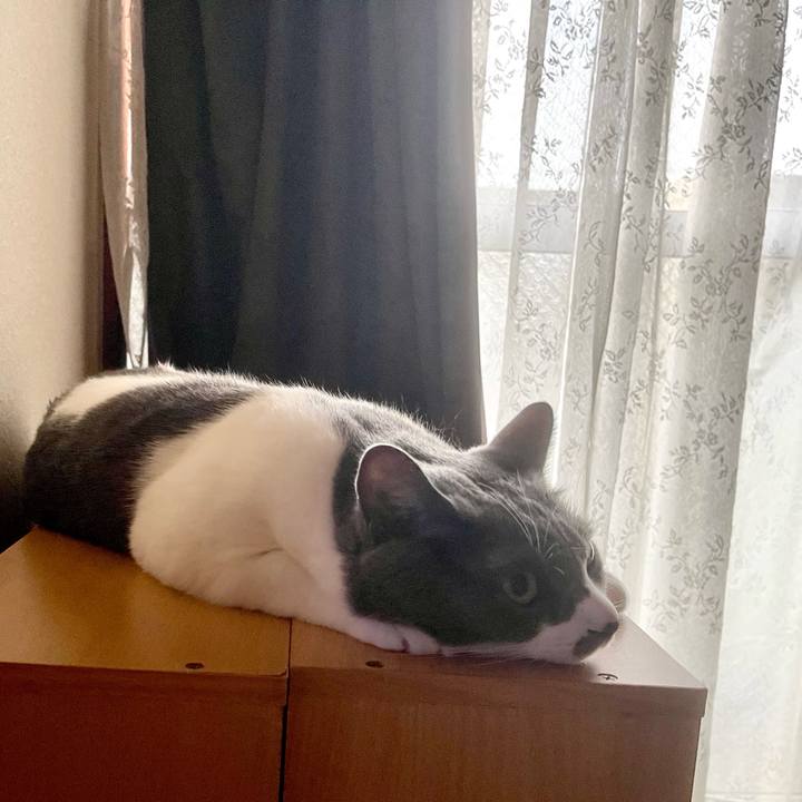 97782581 8e3f 4a09 b89c 126ec1912f3a 1663103011230