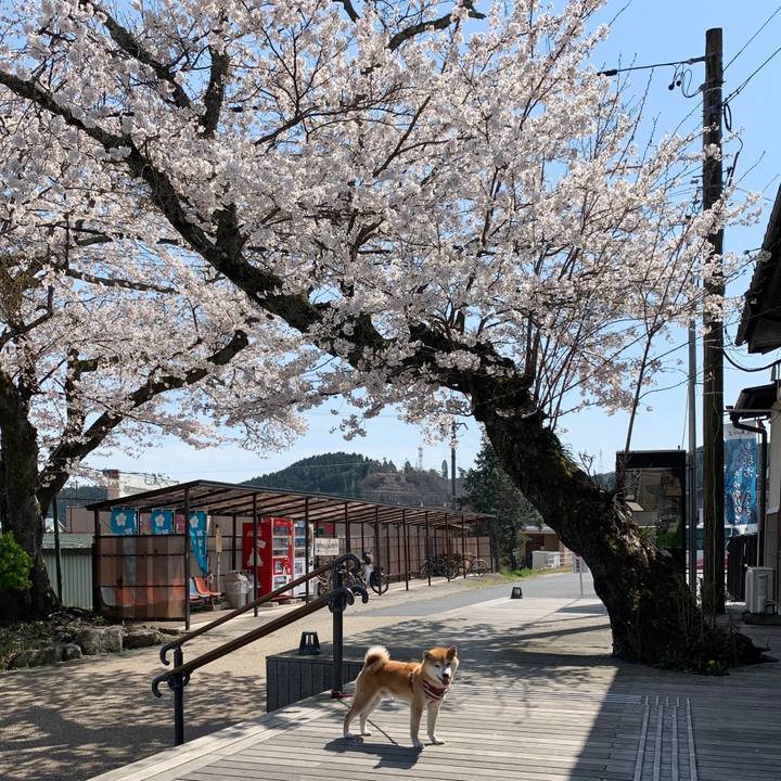 97784392 f2d7 426d b298 d6c624e14a15 1586422311651