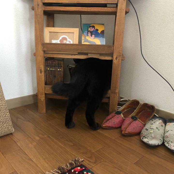 97784541 f1a9 4f6c a40e 0fbbb5e263e2 1668388588783