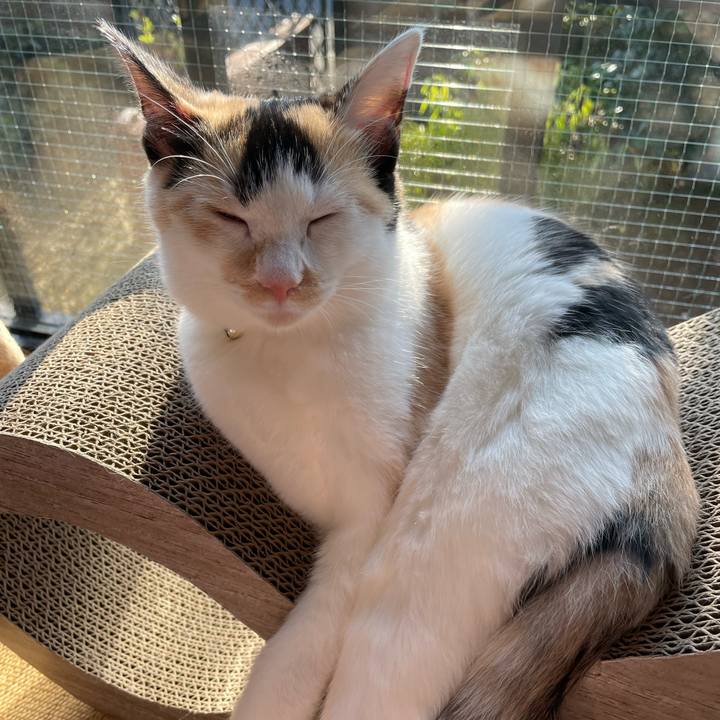 977880c9 3205 4b5f 81e1 66a18a17f35d 1666924300420