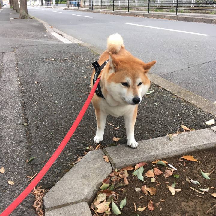 97789237 f2e3 42f7 a3e6 52360f39b937 1599983433239