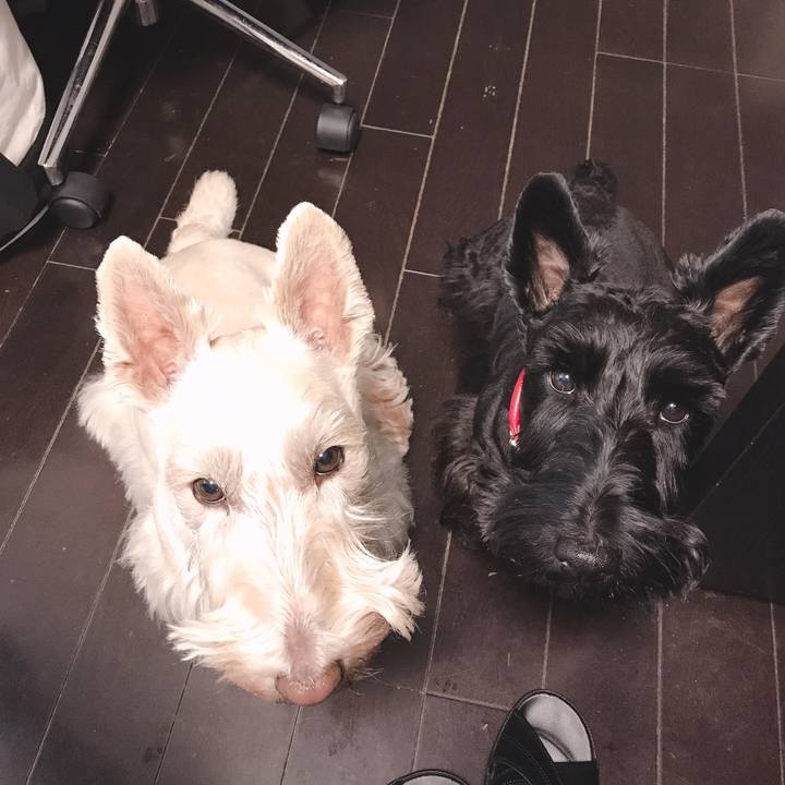 977898e5 69b0 4153 a6b0 fa5c3fd126da 1544099363620