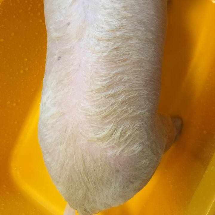 97789cb1 906f 4451 add4 3d54c8101ce8 1535001925397