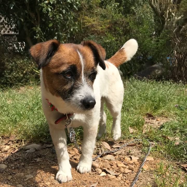 97789cfe 0f06 4b44 b2d8 3f1b75a2f98b 1522557349563