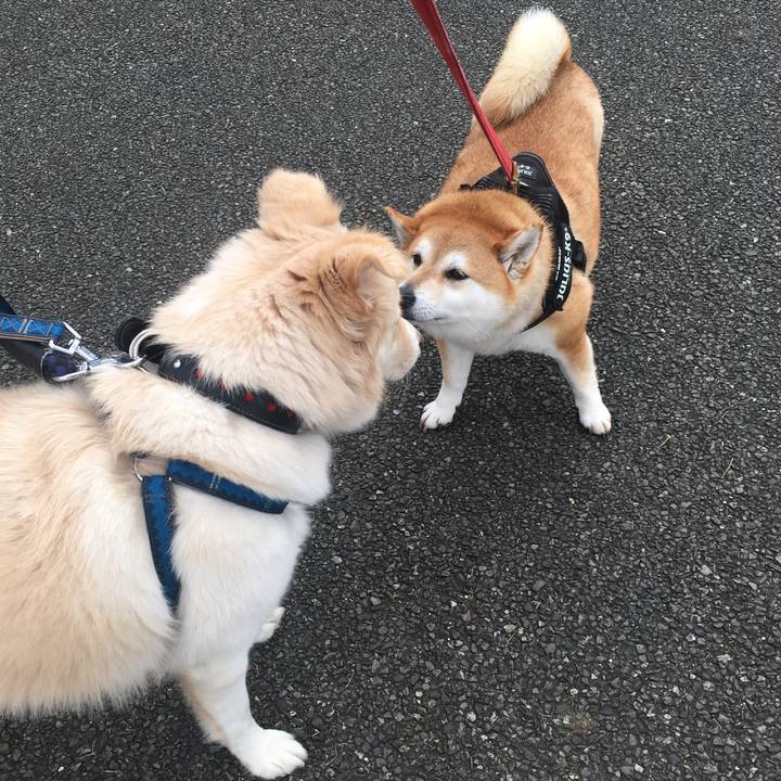 9778c062 1e77 4b3d 844e 22a82570f26c 1610846809113