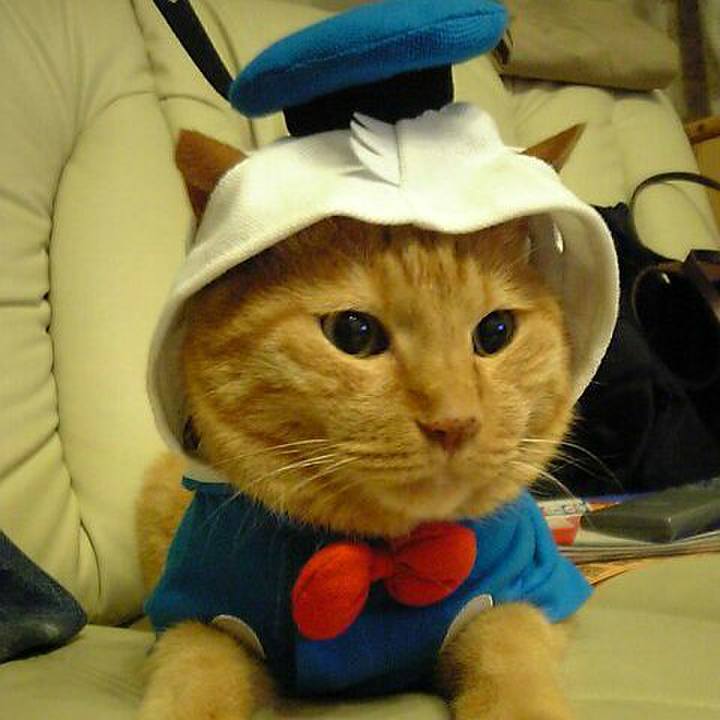 9778cb2a 2730 4084 b717 181e867d63f5 1543299793180