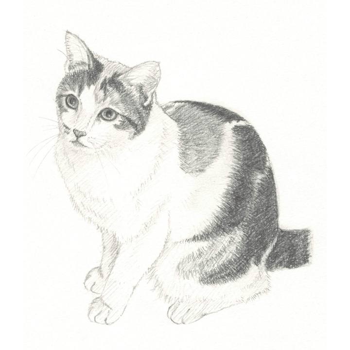 9778e6ef d84a 449c abe5 0d743ebe618b 1540126012096