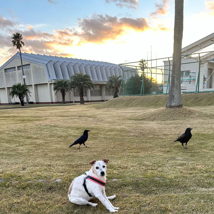 97790403 6a17 433a a950 4f2885e15702 1669552704300