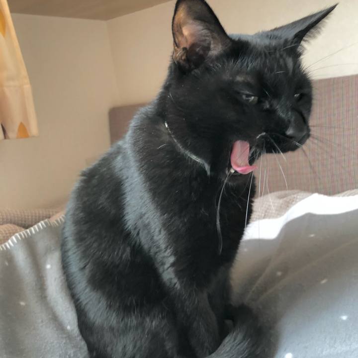 97791650 475b 442c b0ff 4eb99f907f0b 1616376844138