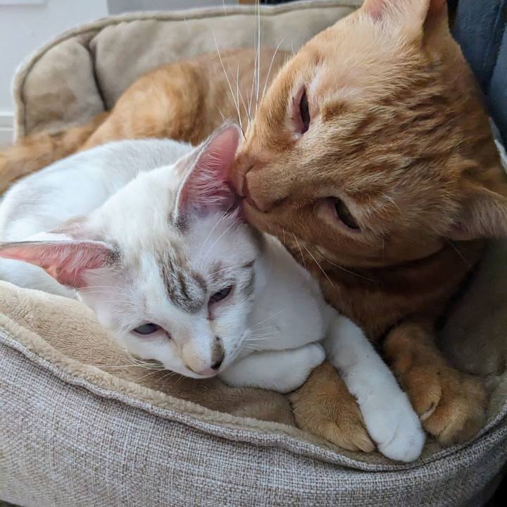 97791bb0 b2bf 458e bc21 1813aea226d5 1694858876990