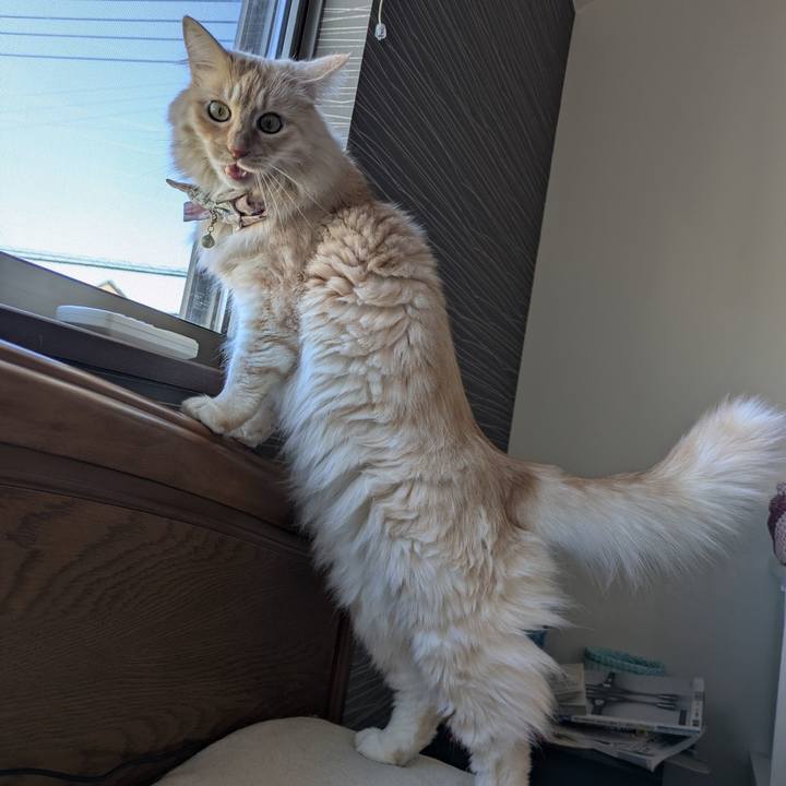 977931d7 4463 45a4 8327 0eed394b82b7 1737526519557