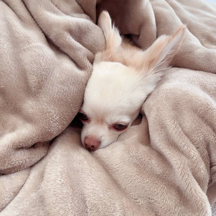 97794820 44b4 4c02 82a4 5e497c8863d0 1716552520662