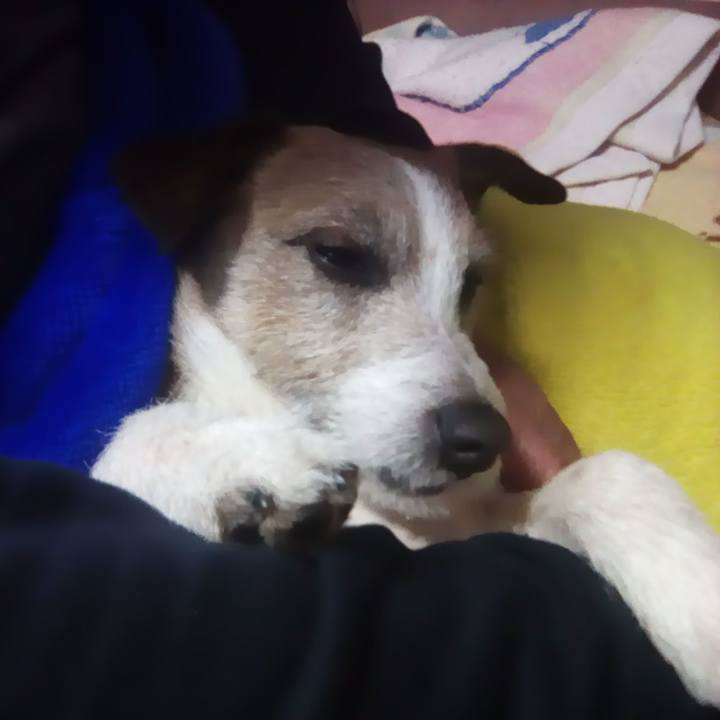 97797e9a 9d29 42a8 9801 8d99731b0b9b 1521808502564